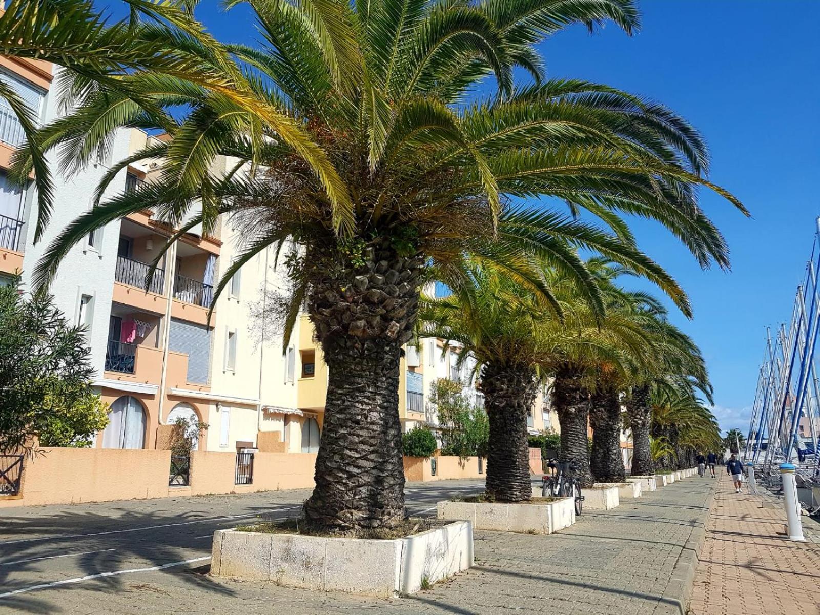 T2 Sur Le Port Avec Parking Apartment Gruissan Bagian luar foto